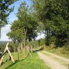 Natur Pur in der Eifel